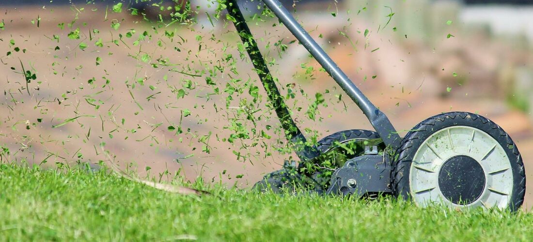 5 wskazówek jak dbać o trawnik latem: Praktyczne wskazówki!￼