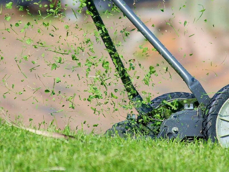 5 wskazówek jak dbać o trawnik latem: Praktyczne wskazówki!￼